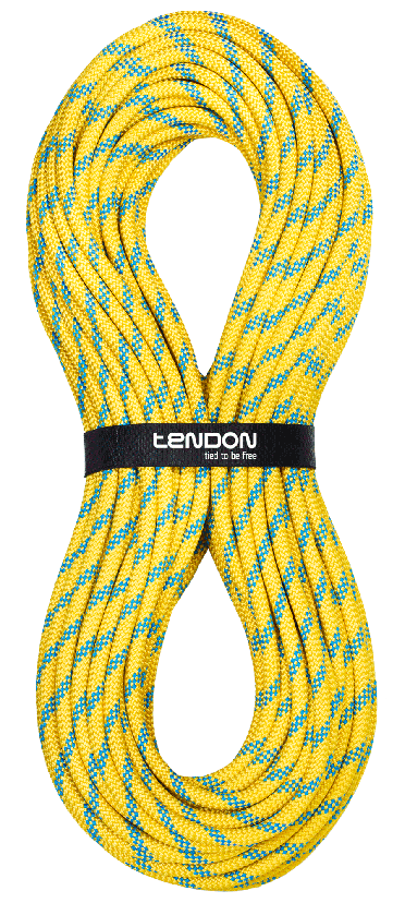 Secure 11 - Tendon