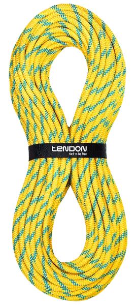 Secure 11 - Tendon