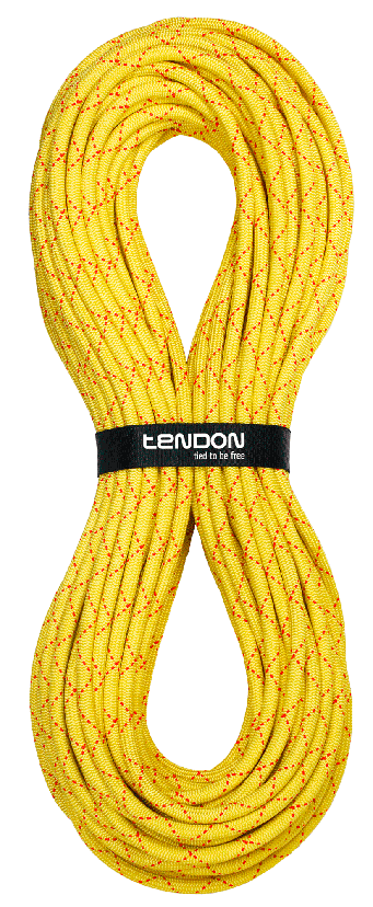 TENDON Salamander