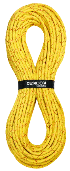 TENDON Salamander
