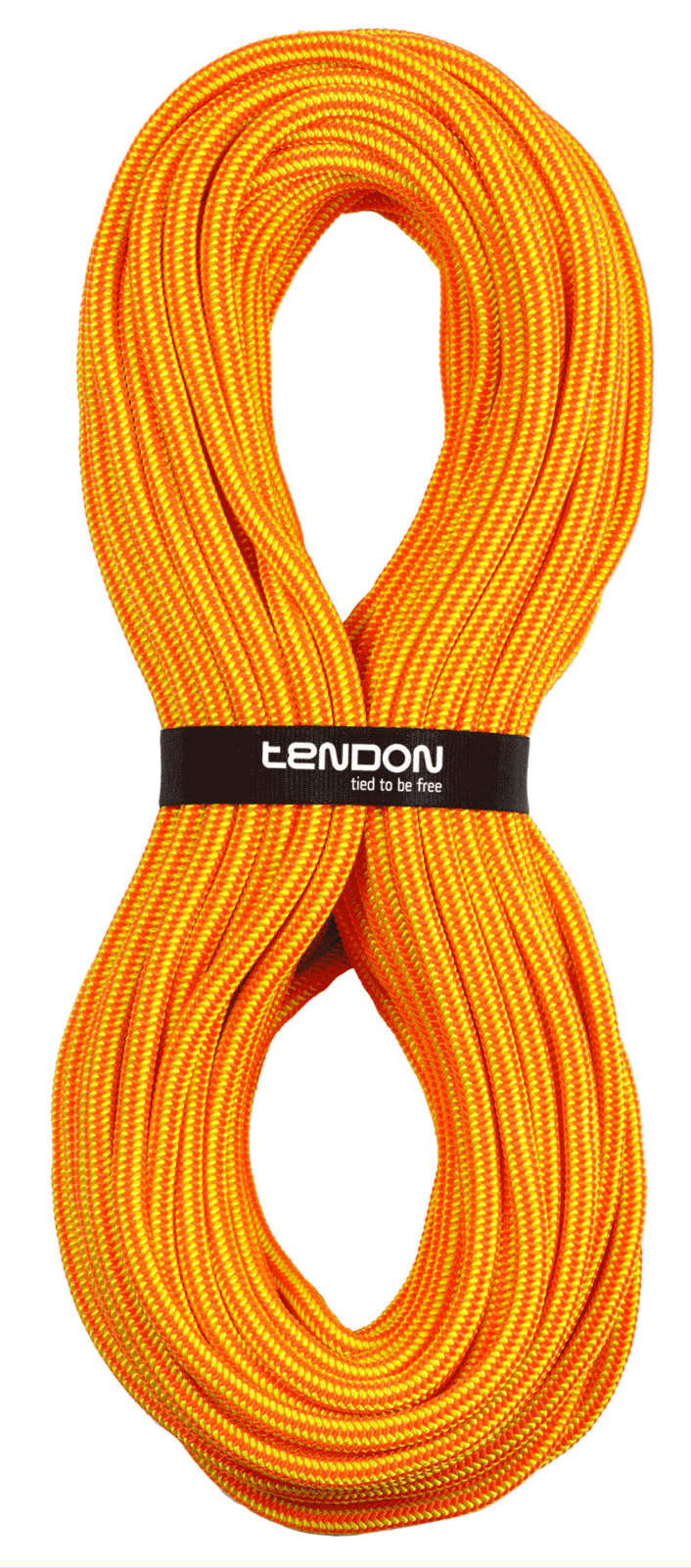 TENDON Timber EVO 11,5mm
