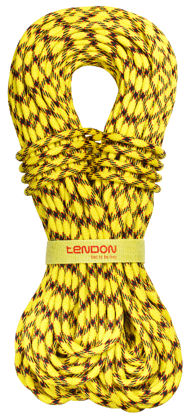 Master 9.7 - TENDON