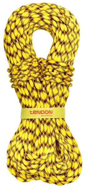 Master 9.7 - TENDON