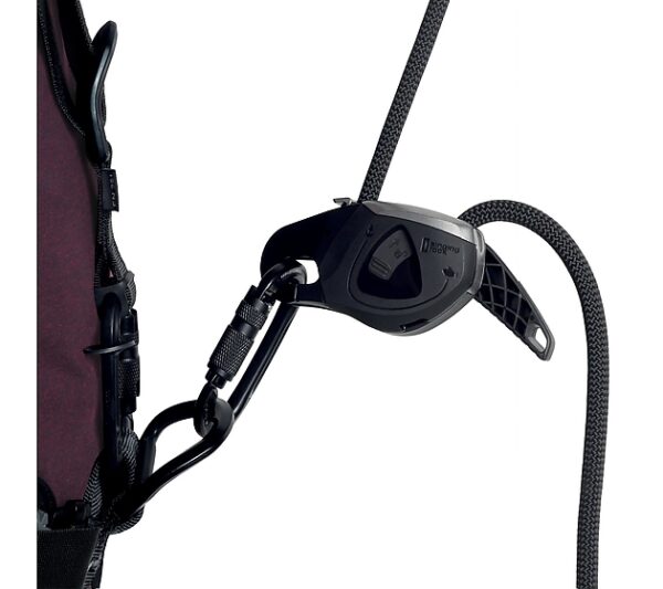 JACK - Singing Rock - Imagen 12